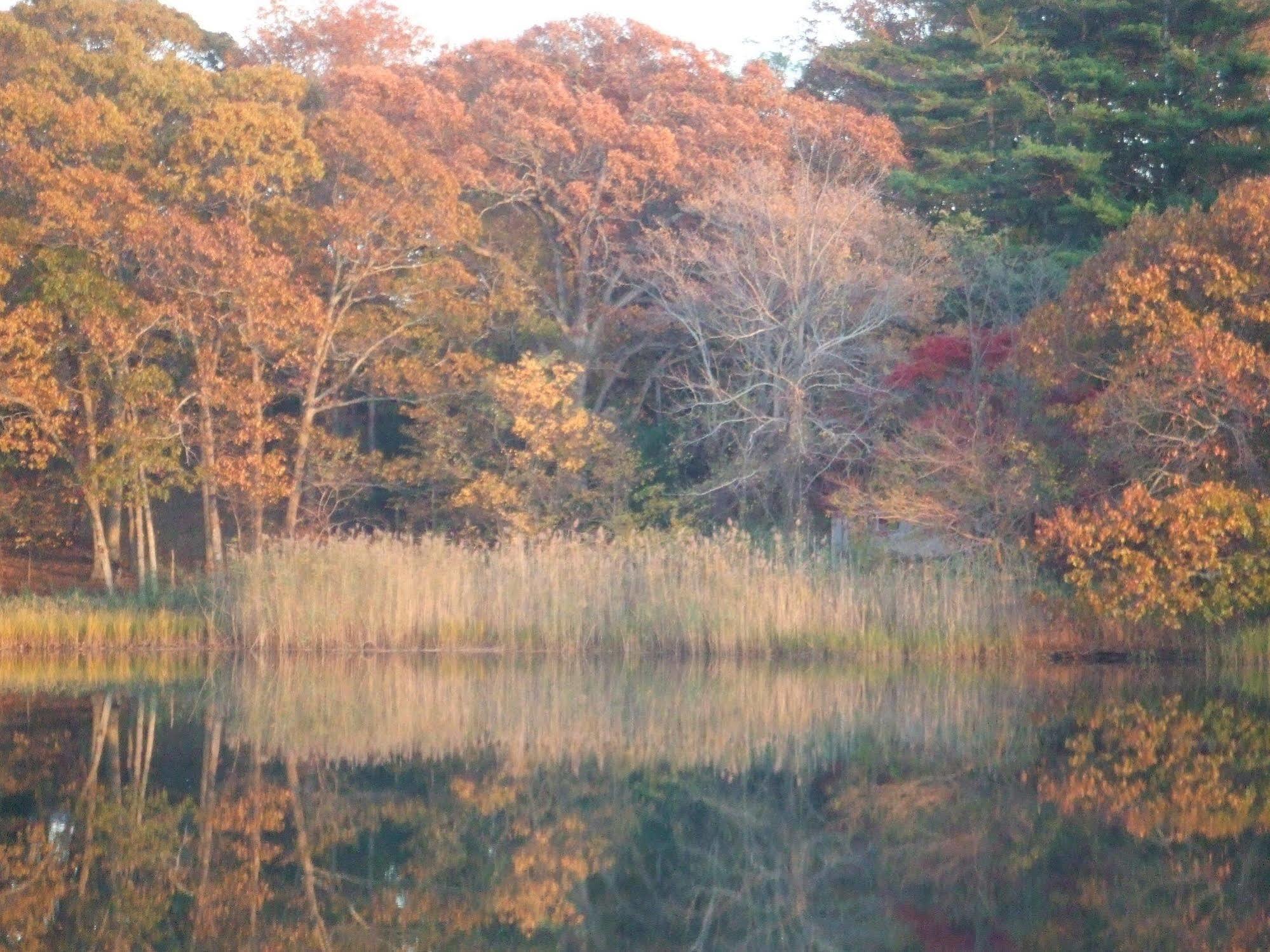 Shelter Island Heights House On Chase Creek Bed & Breakfast エクステリア 写真